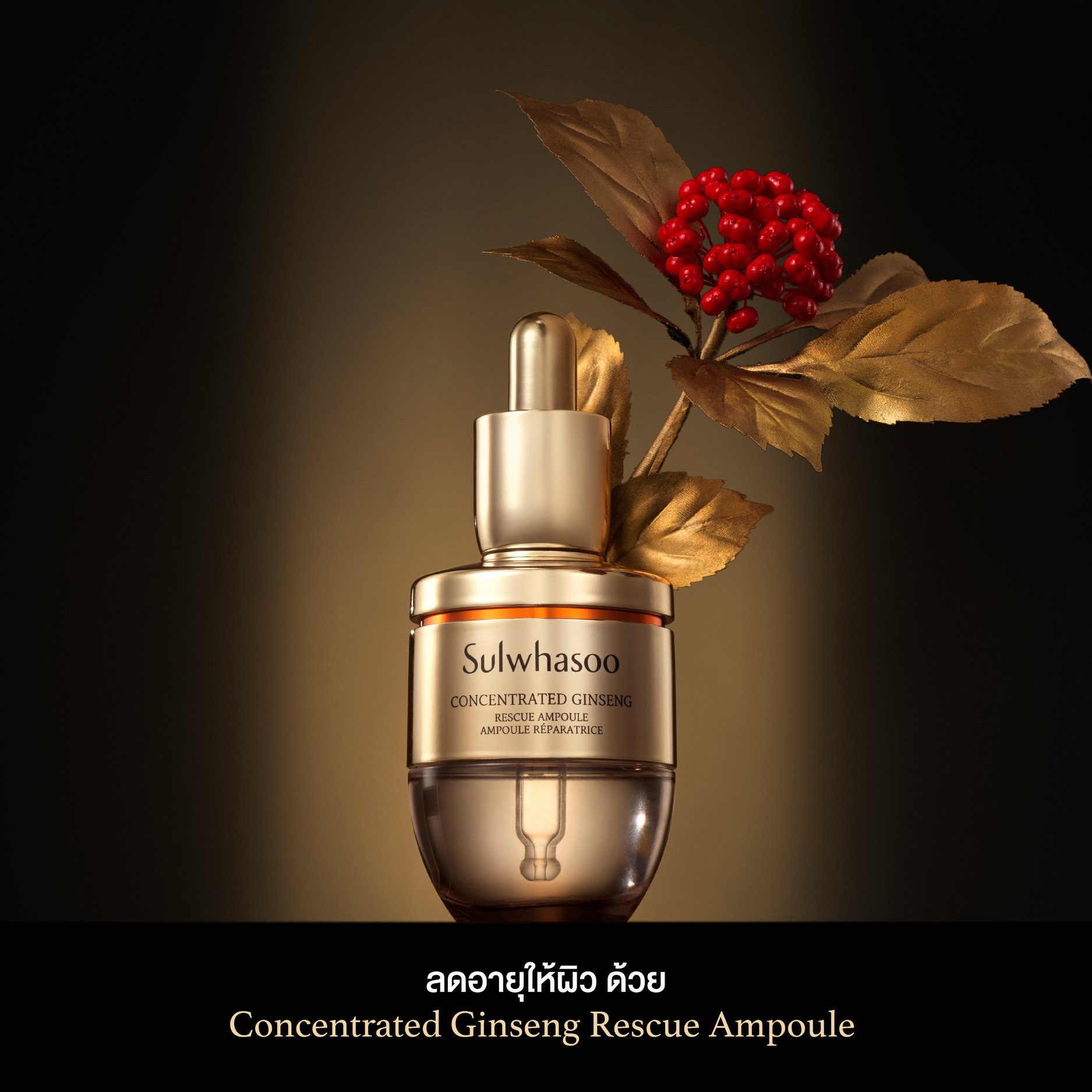 Sulwhasoo, Sulwhasoo รีวิว, Sulwhasoo ราคา, Sulwhasoo Concentrated Ginseng Rescue Ampoule, Sulwhasoo Concentrated Ginseng Rescue Ampoule รีวิว, Sulwhasoo Concentrated Ginseng Rescue Ampoule 20g, Sulwhasoo Concentrated Ginseng Rescue Ampoule 20g แอมพูลชนิดเข้มข้น, แอมพูล, Ampoule